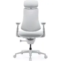 Libernovo Omni Pro Gaming-stuhl