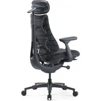 Libernovo Omni Pro Klappstuhl