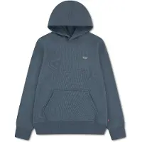 Levi's Levis Kids Hoodie "LVB MINI BATWING PULL OVER HOO", for BOYS