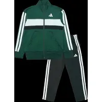 Adidas Jogginganzüge - kind