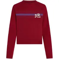 O'Neill O'riginals L/Slv T-shirt tamarillo (13030) XS