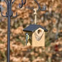 Cj Wildlife Futterhaus „Solna” aus Birkenholz - schwarz |