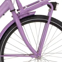 Cortina Bearing Co. Cortina Front Carrier Basic Teil 24 Passion Pink Pink