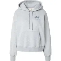 Levi's Everyday Graphic Kapuzenpullover