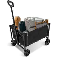 OEM 60L Transportwagen - Opvouwbaar - 80KG - Transportwagen mit verstelbarer Handel - für Kindertransport - Zweisitziger Transportwagen - in Schwarz