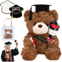 Sonstiges Abschluss Teddybär Plüschtier 25 cm mit Doktorhut und Diplom