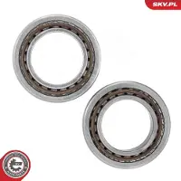 ESEN SKV Radlagersatz Hinten für FORD FIESTA III (GFJ) 50,3mm 85SKV009