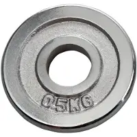 Hammer Sport Muskelaufbau-Scheibe 30 mm 10 kg
