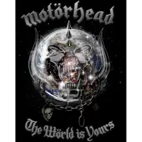 Universal Music The World Is Yours (VINYL)