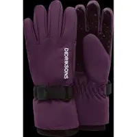 Didriksons - Kid's Biggles Gloves - Handschuhe Gr 4-6 Years lila