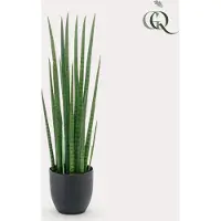 Green Boutiq Kunstpflanze - Sanseveria Cylindrica - Weibliche Zunge - 70 cm