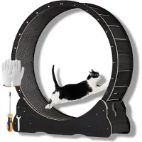 Famanu Katzenlaufrad - Robustes Design, geräuschlos und sicher - Schwarz