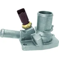 Facet Thermostat, Kühlmittel 78699 für FORD LANCIA