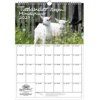 Seelenzauber GmbH Tierkinder Ziegen Planer DIN A3 Kalender für 2027 Ziegen und Zicklein - Set-Inhalt: 1x Kalender 1x Weihnachtsanhänger 1x Grußanhänger (gesamt 3 Teile)