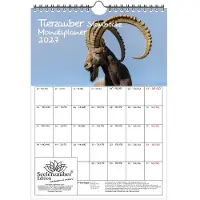 Seelenzauber GmbH Tierzauber Steinböcke Planer DIN A4 Kalender für 2027 Berge Alpen - Geschenkset Inhalt: 1x Kalender 1x Weihnachtsanhänger 1x Grußanhänger (gesamt 3 Teile)