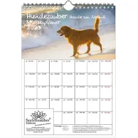 Seelenzauber GmbH Hundezauber Hunde am Strand Planer DIN A4 Kalender für 2027 Welpen Hunde - Set-Inhalt: 1x Kalender 1x Weihnachtsanhänger 1x Grußanhänger (gesamt 3 Teile)