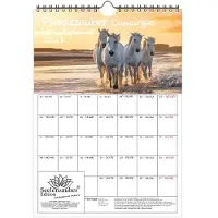 Seelenzauber GmbH Pferdezauber Camargue Planer DIN A4 Kalender für 2027 Pferde und Fohlen - Geschenkset Inhalt: 1x Kalender, 1x Weihnachtsanhänger (insgesamt 2 Teile)
