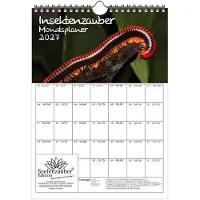Seelenzauber GmbH Insektenzauber Planer DIN A4 Kalender für 2027 - Geschenkset Inhalt: 1x Kalender 1x Weihnachtsanhänger 1x Grußanhänger (gesamt 3 Teile)