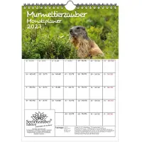 Seelenzauber GmbH Murmeltierzauber Planer DIN A4 Kalender für 2027 Murmeltier - Geschenkset Inhalt: 1x Kalender 1x Weihnachtsanhänger 1x Grußanhänger (gesamt 3 Teile)