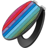 Banjado Design WC Sitz Anthrazit mit Absenkautomatik MDF - Regenbogenfarben - hochwertiger MDF Klodeckel/WC-Sitz mit Universal Scharnieren für alle gängigen Toiletten [TDA 12175]