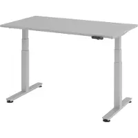 Bümö Schreibtisch elektrisch XDSM - Gestell: Silber, Nachbildung: Grau, Größe: 140 x 80 cm