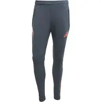 Adidas Herren Fanhose FC Bayern Tiro 25 Competition (normal & lang)