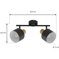 LINDBY Deckenstrahler Lenja, 2-flammig, schwarz, E14, Metall Lenja , dimmbar, schwarz, für Wohn- / Esszimmer, Metall, Modern, Strahler