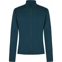 Icebreaker Men Mer 300 Realfleece Descend Long Sleeve Zip abyss (IBZ43) S