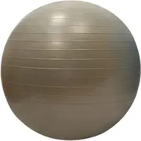 Sporti France gymball 55cm