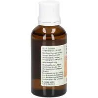 Kattwiga Synergon Komplex 130 Dulcamara S Tropfen 50 ml
