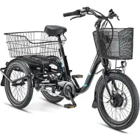 Telefunken TC550 E-Dreirad Elektrofahrrad / Pedelec mit 3-Gang-Nabenschaltung, Fahrradkorb & Seitenschwung, 536,5Wh Akku