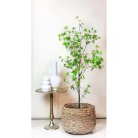 Green Boutiq Künstliche Pflanze - Tropaeolum Speciosum - Indische Kresse