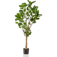 Green Boutiq Künstliche Pflanze - Polyscias - Aralia