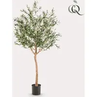 Green Boutiq Künstlicher Olivenbaum - Olea Europaea - Olivenbaum