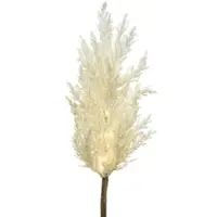 MARELIDA LED Zweig Pampasgras leuchtend Herbstdeko Winterdeko Deko Timer für Innen weiß