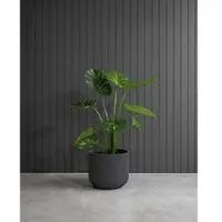 Fleur Ami Kunstpflanze mit Topf Monstera Deliciosa mit Linea Gefäß 90 cm Anthrazit
