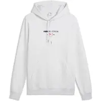 Puma Herren Freizeit / Mode Sommer GJ Kapuzensweats Kapuzensweats lg.Arm He/Uni CLASS Graphic Hoodie FL