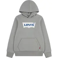 Levi's Kids Kapuzensweaters BATWING SCREENPRINT HOODIE kind