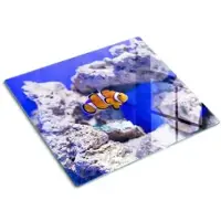 Tulup GLASPLATTE 60x52 cm Nemos Korallenriff