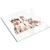 Tulup GLASPLATTE 60x52 cm Husky-Welpen