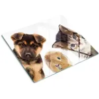 Tulup GLASPLATTE 60x52 cm Haustiere