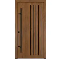 FM Türen AS68 Modell 64 1100 x2100 Winchester Links Innen Beschläge Set 01