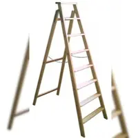 Proregal Putzbrettleiter Made in Germany | 12 Stufen | 3m Länge | Ablagebrett | Holzleiter Klappleiter