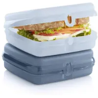Tupperware Polypropylen Sandwichbehälter 2er Set, Spülmaschinenfest & BPA-frei (2 Klappbehälter), 64 Cubic_Inches