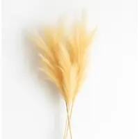 Layba Künstliches Pampasgras (100 cm) – 3er Set in Creme - Beige