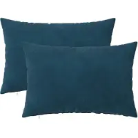 vidaXL Kissenbezug 2 pcs HEERLEN Blau 40 x 60 cm Samt
