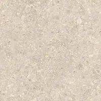 Rako Rave Bodenfliese malt 120x120 cm matt DAK92901.1