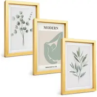 Tulup BILDER SET 3er Set - 20x30 cm Goldrahmen - Pflanzenmotive in Grün