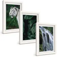 Tulup BILDER SET 3er Set - 20x30 cm Weißer Rahmen - Wasserfall aus weißen Tigerblättern