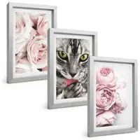 Tulup BILDER SET 3er Set - 20x30 cm Silberner Rahmen - Katze in rosa Blumen